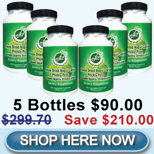 First Time Client Special (6N) - Buy 3 Bottles Get 3 Bottles Free - Freeze Dried Nopal Cactus (500 mg / 120 Capsules)